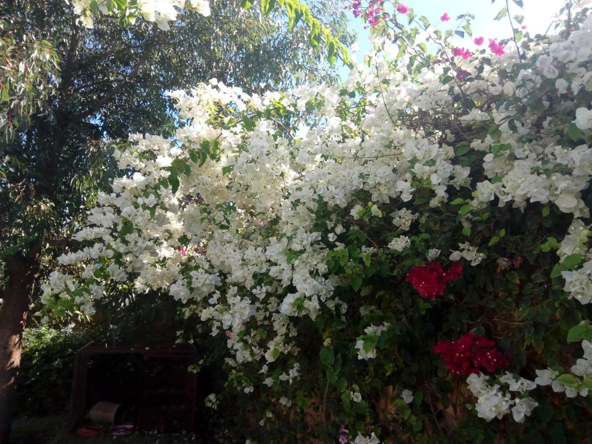 Bed & Breakfast Tanjil Nouaceur