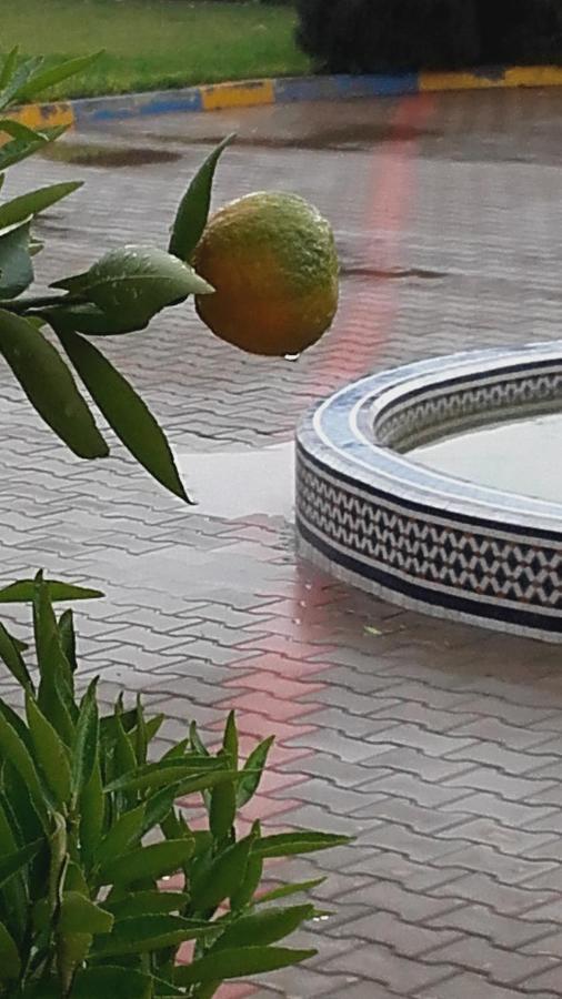 Bed & Breakfast Tanjil